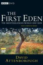 the first eden tv poster