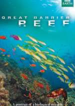 Watch Great Barrier Reef Niter