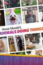 Watch Howie Mandel\'s Animals Doing Things Niter