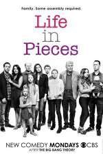 Watch Life in Pieces Niter