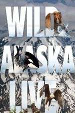 Watch Wild Alaska Live Niter