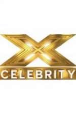 the x factor: celebrity tv poster