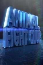 Watch Animal Fight Club  Niter