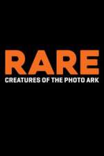 Watch Rare: Creatures of the Photo Ark Niter