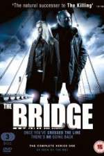 Watch The Bridge Niter