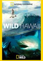 Watch Wild Hawaii Niter