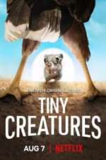 Watch Tiny Creatures Niter