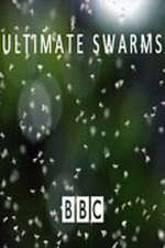 Watch Ultimate Swarms Niter