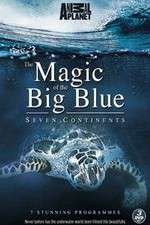 the magic of the big blue tv poster