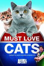 Watch Must Love Cats Niter