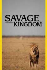 Watch Savage Kingdom Niter