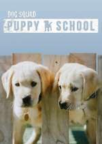 Watch Dog Squad: Puppy School Niter