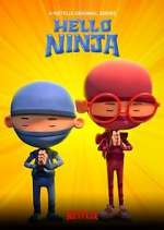 hello ninja tv poster