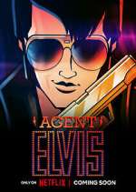 Watch Agent Elvis Niter