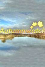 Watch Autumnwatch Niter