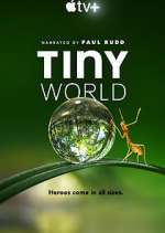 Watch Tiny World Niter