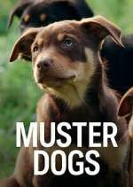 Watch Muster Dogs Niter