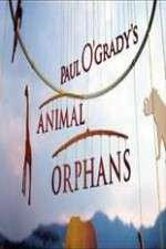 Watch Paul O'Grady's Animal Orphans Niter