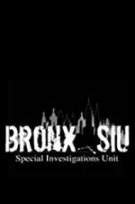 Watch Bronx SIU Niter