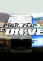 Watch Pick, Flip & Drive Niter