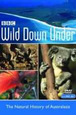 Watch Wild Down Under Niter