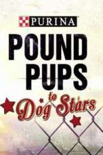 Watch Purina Pound Pups To Dog Stars Niter