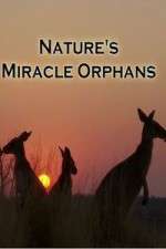 Watch Nature's Miracle Orphans Niter