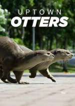 Watch Uptown Otters Niter