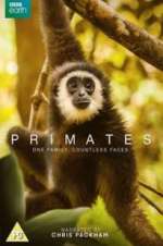 Watch Primates Niter