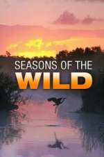 Watch Seasons of the Wild Niter