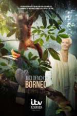 Watch Judi Dench\'s Wild Borneo Adventure Niter