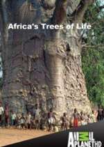Watch Africa's Trees of Life Niter
