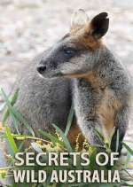 Watch Secrets of Wild Australia Niter