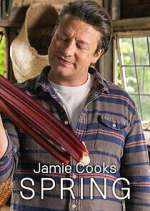 Watch Jamie Cooks Spring Niter