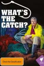 what's the catch with matthew evans tv poster