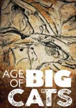 Watch Age of Big Cats Niter