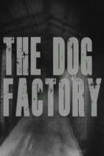 Watch The Dog Factory Niter