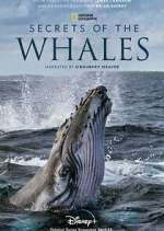 Watch Secrets of the Whales Niter