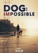 Watch Dog: Impossible Niter