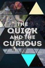 Watch The Quick and the Curious Niter