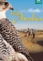 Watch Wild Arabia Niter