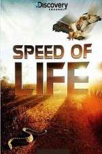 Watch Discovery Channel Speed Of Life Niter