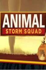Watch Animal Storm Squad Niter
