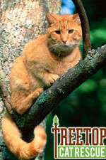 Watch Treetop Cat Rescue Niter