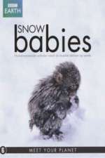 Watch Snow Babies Niter
