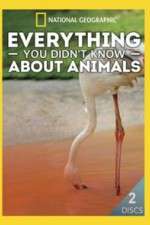 Watch Everything You Didnt Know About Animals Niter