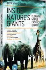 Watch Inside Nature's Giants Niter