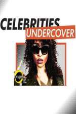 Watch Celebrities Undercover Niter