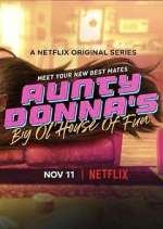 Watch Aunty Donna's Big Ol' House of Fun Niter