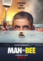 Watch Man Vs Bee Niter